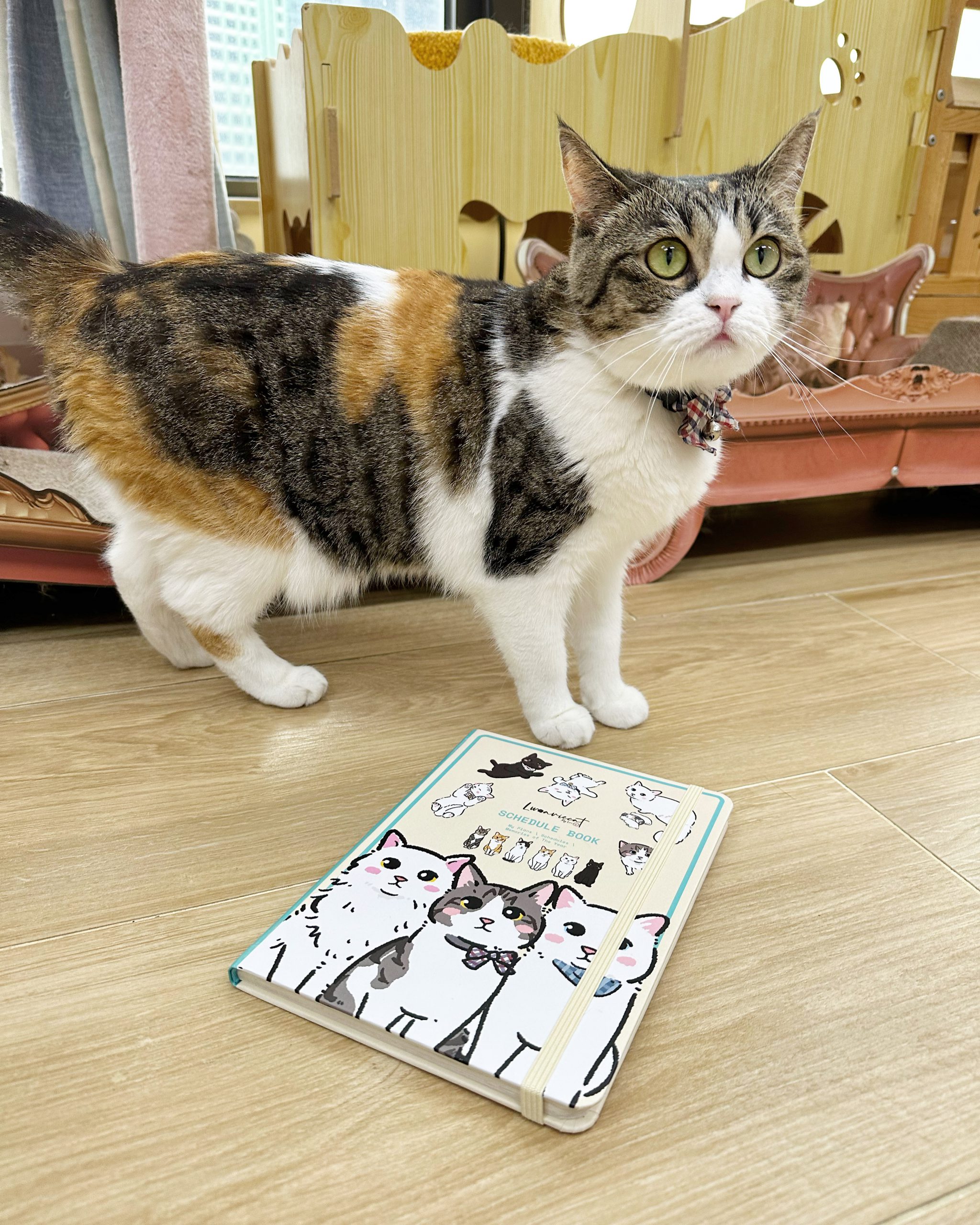 28D5DC0B-6B6B-49D6-9CBD-F15F9CEB1EB8