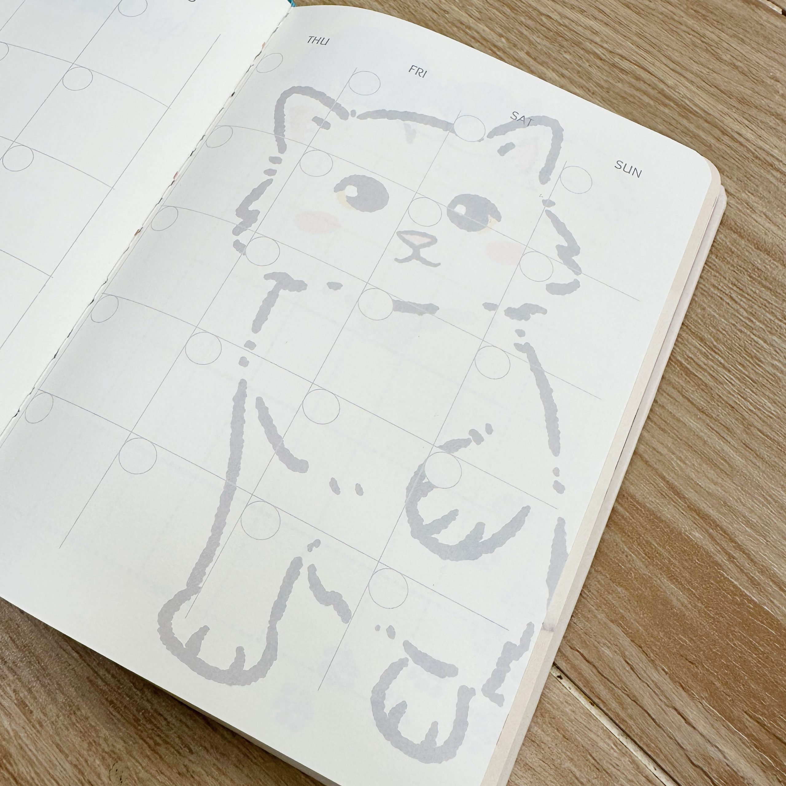 35E5C7E6-4DC2-4EEF-9519-64E3AED90E67