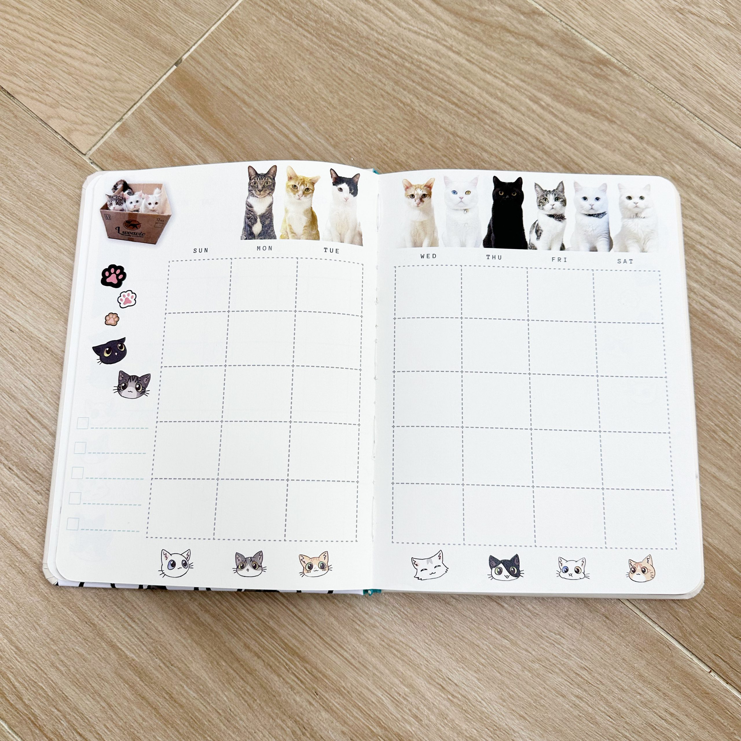 95F7FEC8-D841-46ED-86FF-469E41128FFC