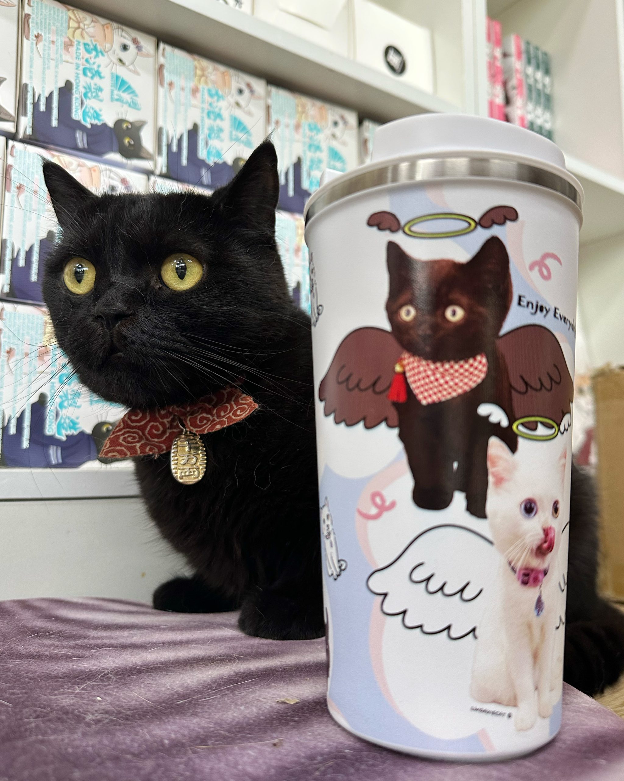 99E92F6B-D949-4975-A3D6-2CB4FBAC455F