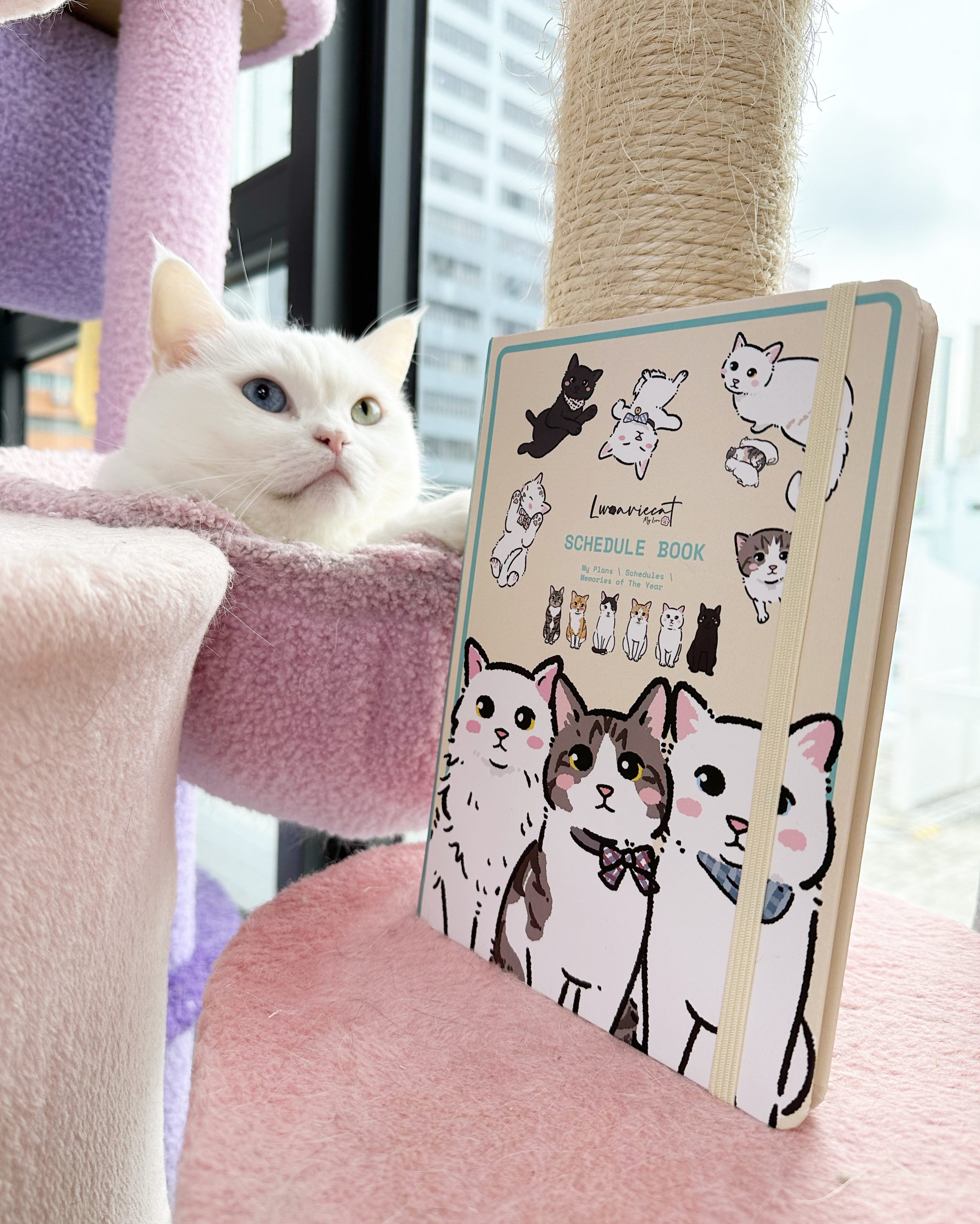 AB1A3D6D-395E-4041-9086-76646257F155