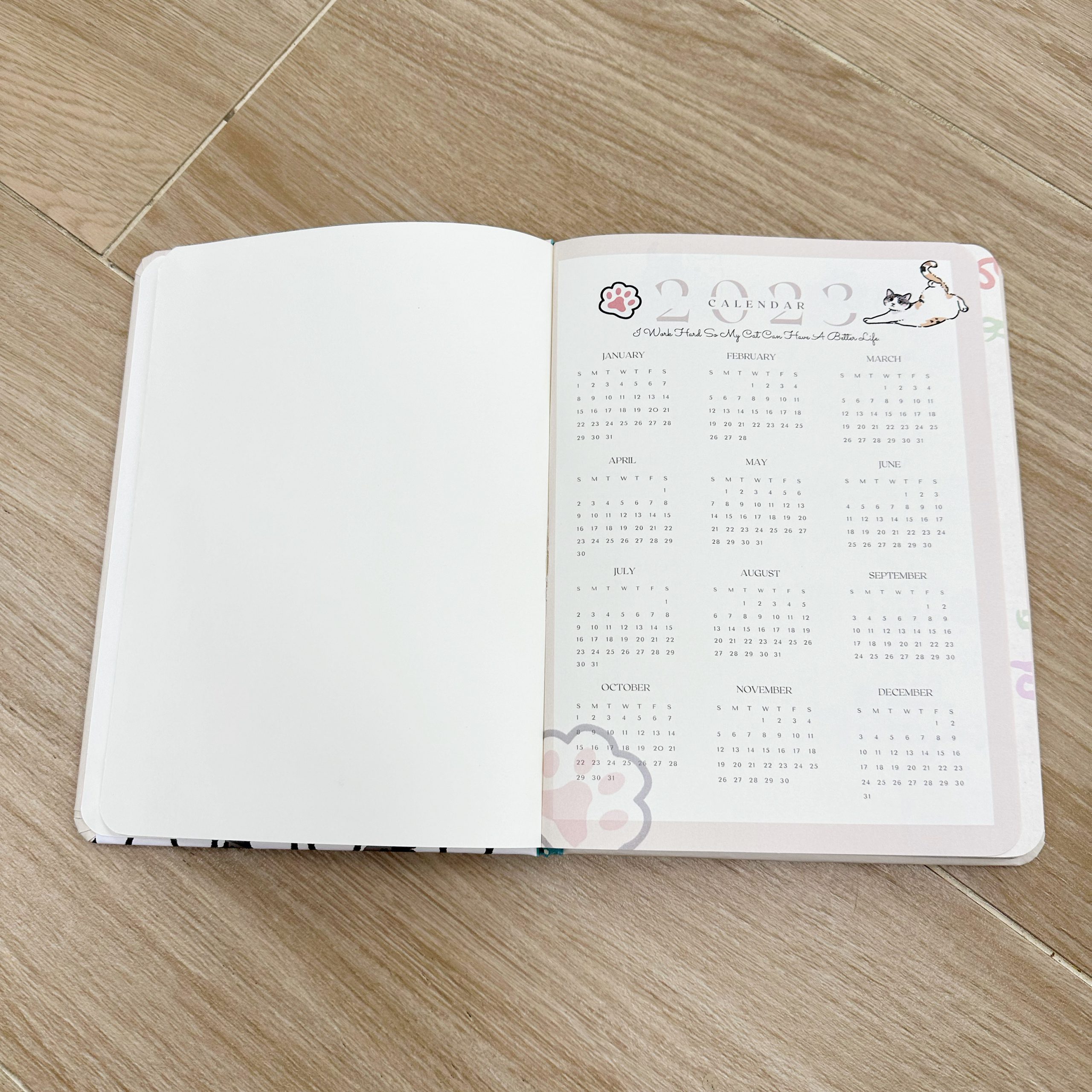 B05913C0-09B4-4EE1-A940-B00AA5A6EFA3