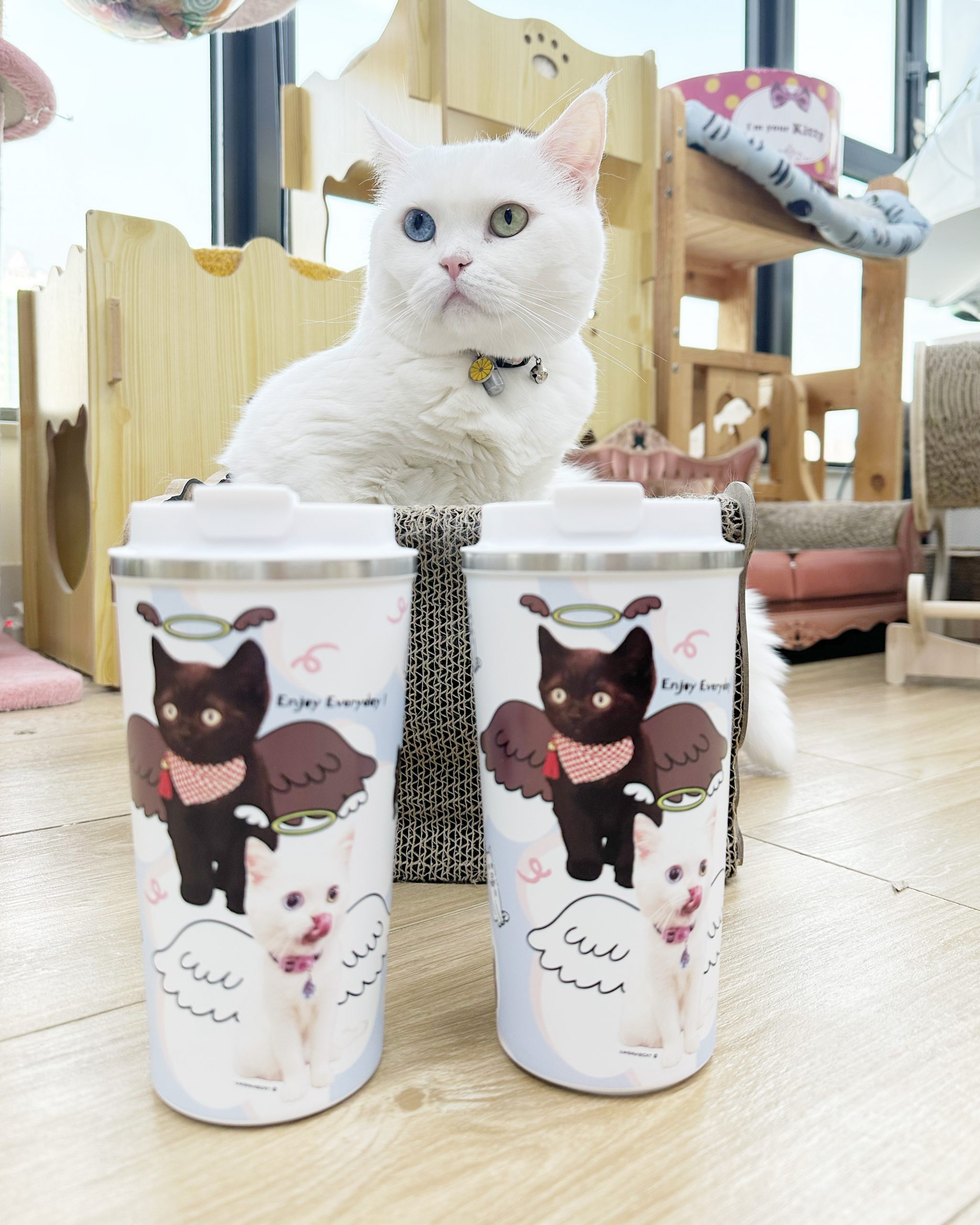 C6F79EEA-7388-47CE-A5C4-3F8298B69C2D