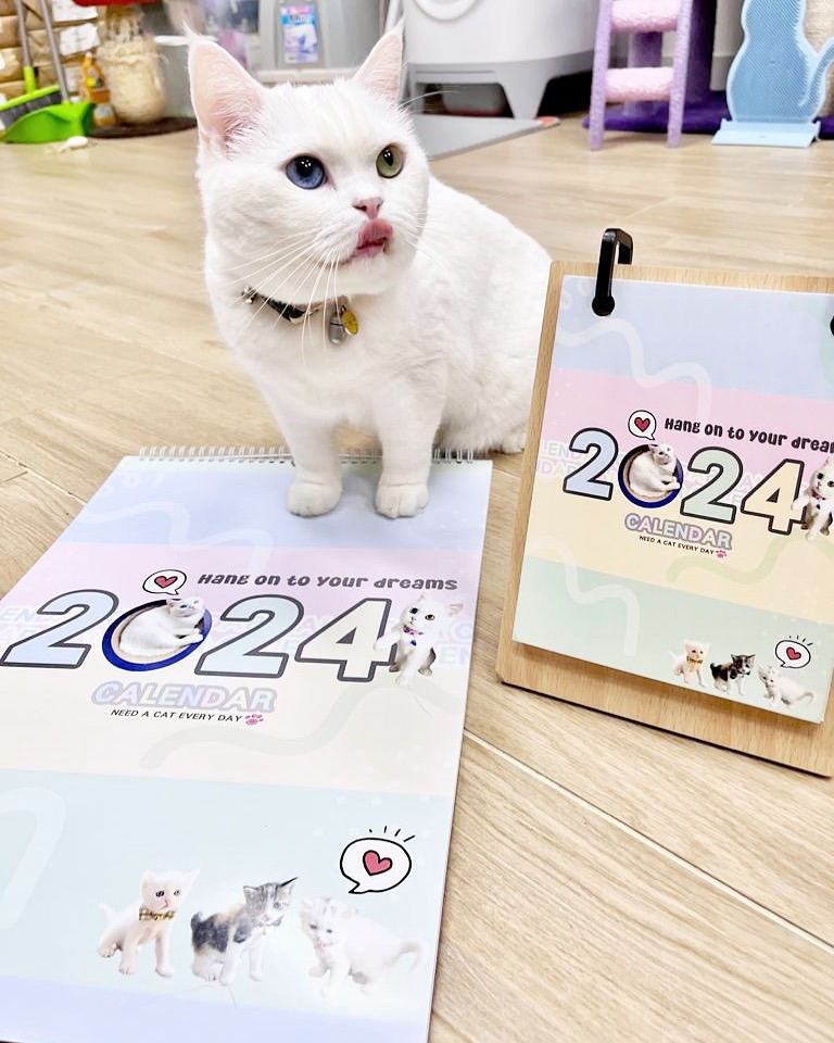 13F73969-EFDF-4047-9E5A-A8004FFD5E79