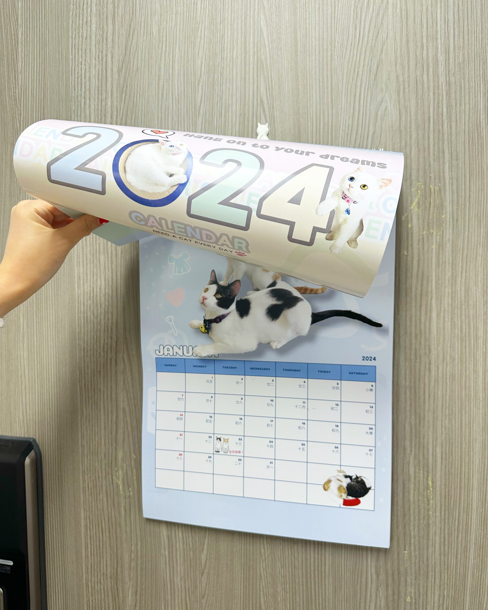 4CF9112C-81BD-42DA-AFFF-4423ECD92D7F