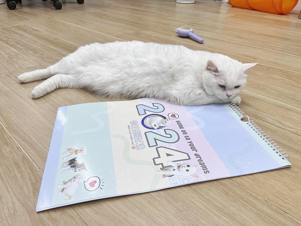 682ACEB2-6677-4CFD-9B73-D5235053DB9D