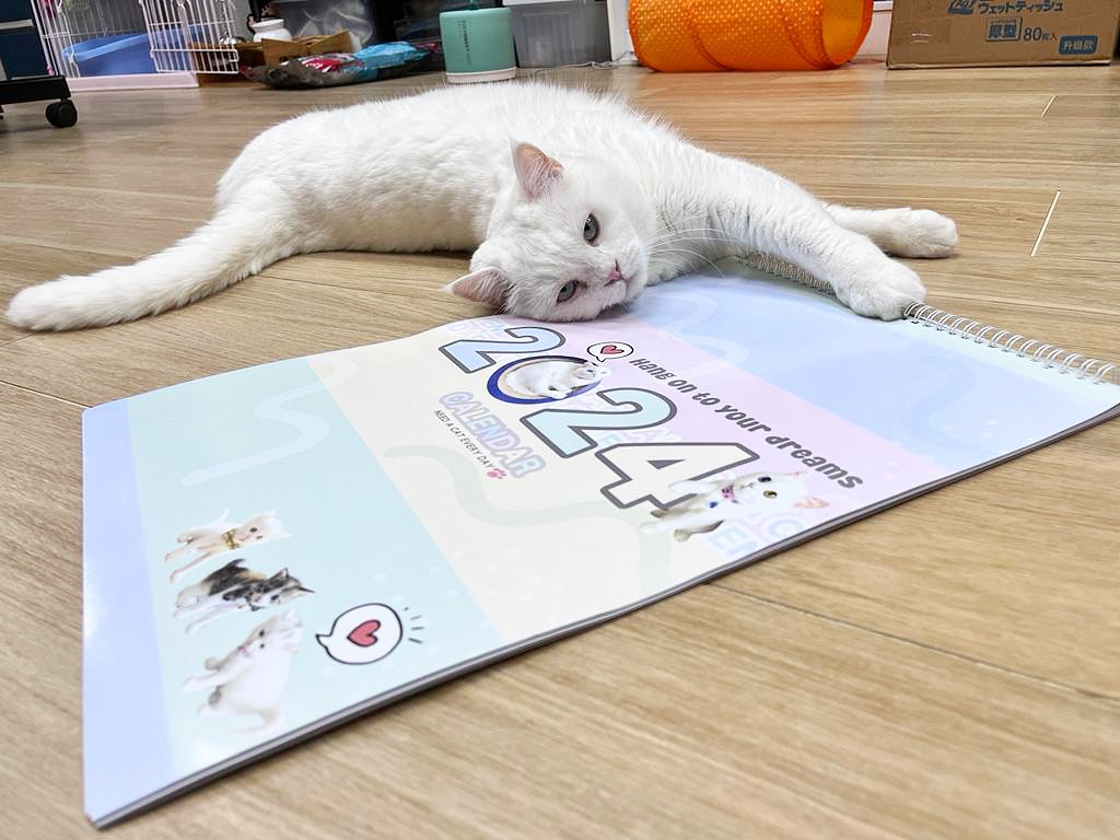 79344039-2411-4E54-9552-16AA00D64802