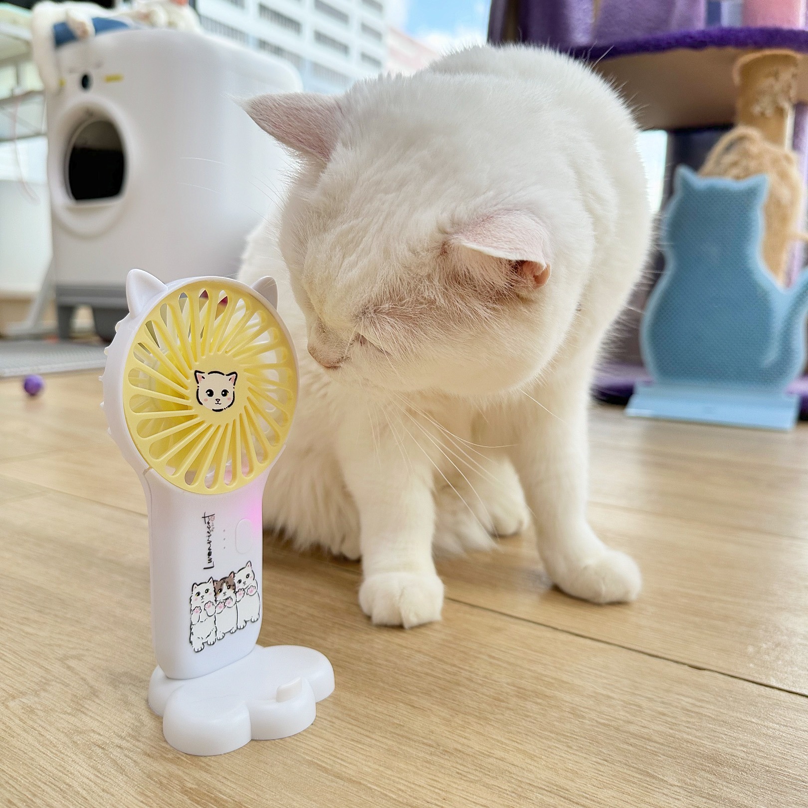 3A4955F8-F806-4493-A4B9-157C7D7B2F57 2