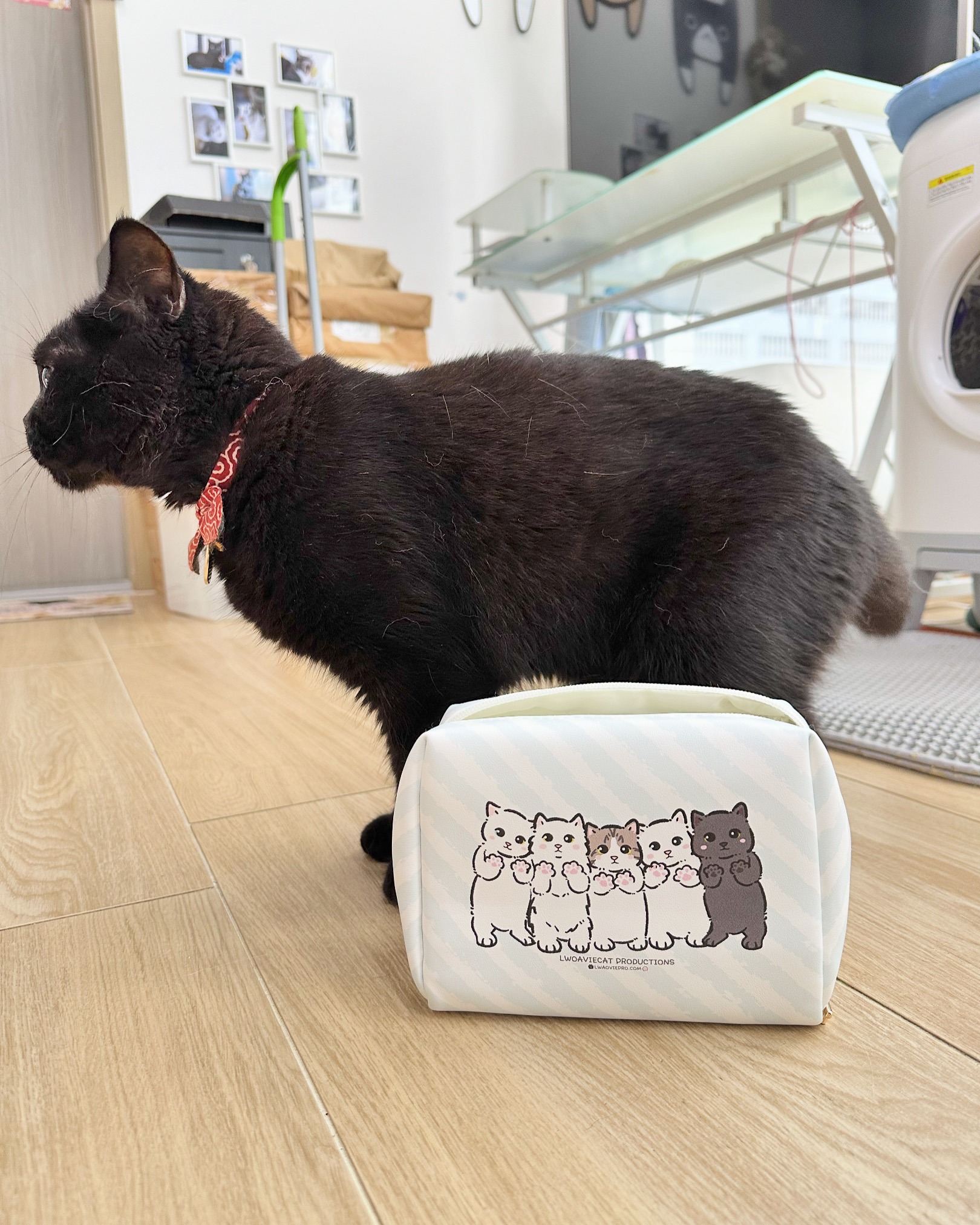 D8454F2C-B436-44E7-9EE6-E373A9C24B4E