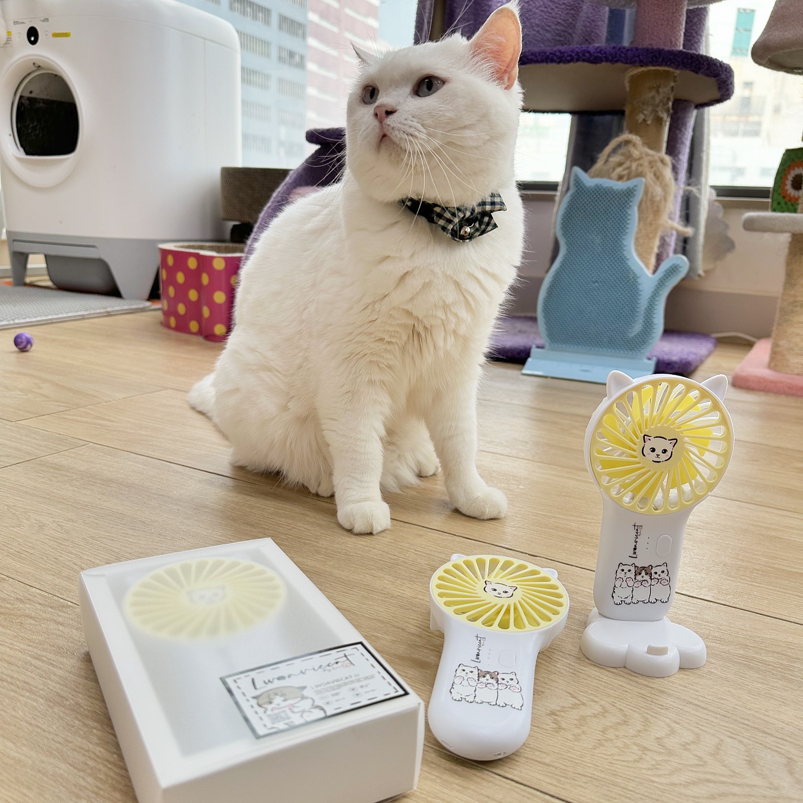 F9A2FBC0-17A3-4139-ACA6-8BD4D1146C43 2